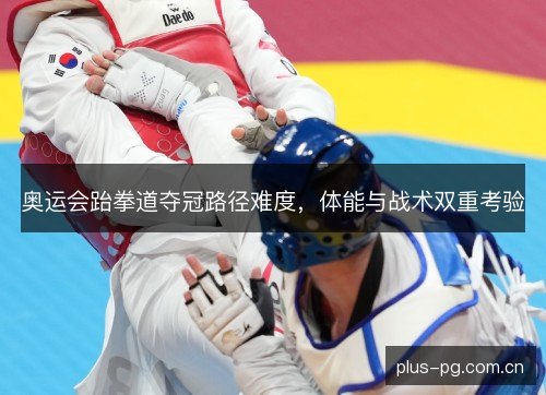 奥运会跆拳道夺冠路径难度,体能与战术双重考验 奥运会跆拳道夺冠路径难度,体能与战术双重考验